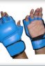 MMA Gloves 7